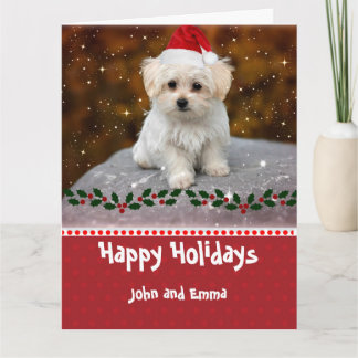 Aardige Maltezer Puppy Sjabloon Kerstkaart