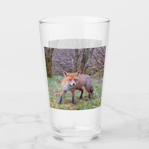 Aardige Mooie Rode Vos Bosdier Illustratie Glas