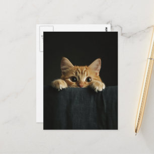 Aardige oranje kat kijkt even briefkaart