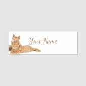 Aardige oranje tabby katten Kittens op maat Naamplaatje (Voorkant)
