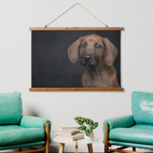 Aardige Rhodesian Ridgeback Puppy Portret Hond F Hangend Wandkleed