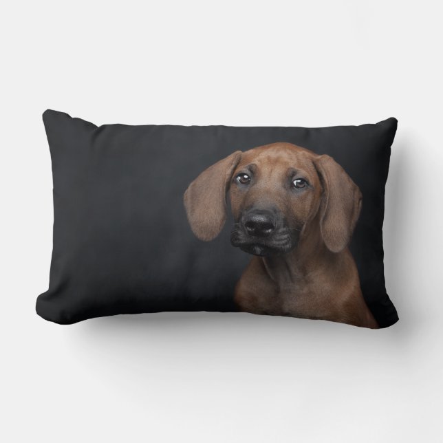 Aardige Rhodesian Ridgeback Puppy Portret Hond Ph Kussen (Voorkant)