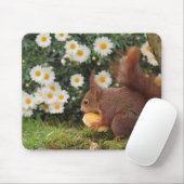 Aardige rode eekhoorn en madeliefjes foto muismat (Met muis)