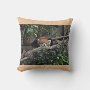 Aardige Rode Panda Natuurfotografie Kussen