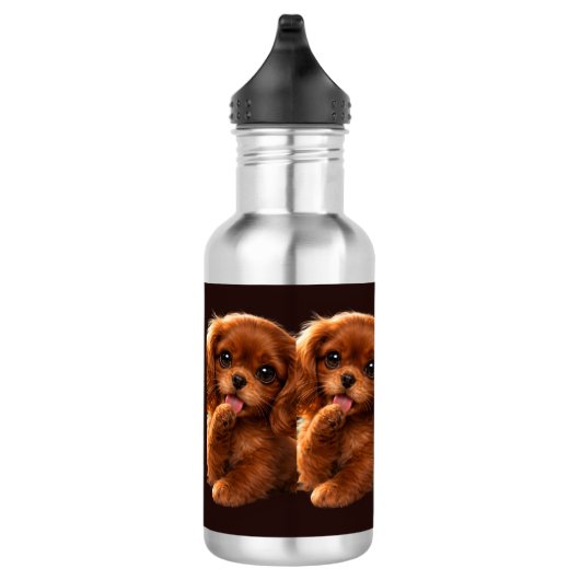 Aardige Ruby Cavalier Spaniel Waterfles (Rechts)
