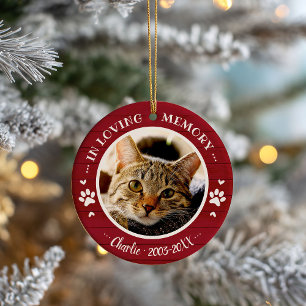 Aardige Rustieke Kat Huisdier Herdenking Aangepast Keramisch Ornament