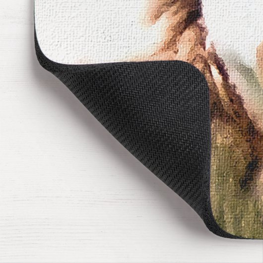 AARDIGE SCHAPEN MUISMAT (Hoek)