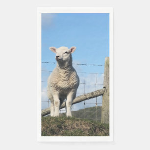 AARDIGE SCHAPEN SERVET