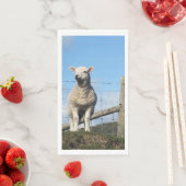 AARDIGE SCHAPEN SERVET (Insitu)