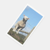 AARDIGE SCHAPEN SERVET (Hoek)
