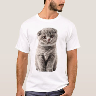 Aardige Schotse Vouw Grijze Kittens Portret Mannen T-shirt
