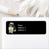 Aardige Shih Tzu Puppy Etiket (Insitu)