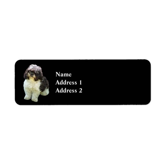 Aardige Shih Tzu Puppy Etiket (Voorkant)