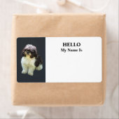 Aardige Shih Tzu Puppy Etiket (Insitu)