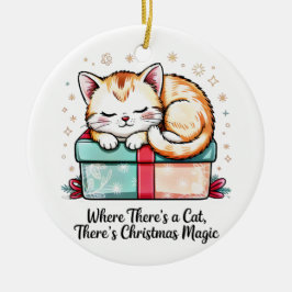 Aardige Slaande Kittens Kerst Kerstmis Aandenken Keramisch Ornament