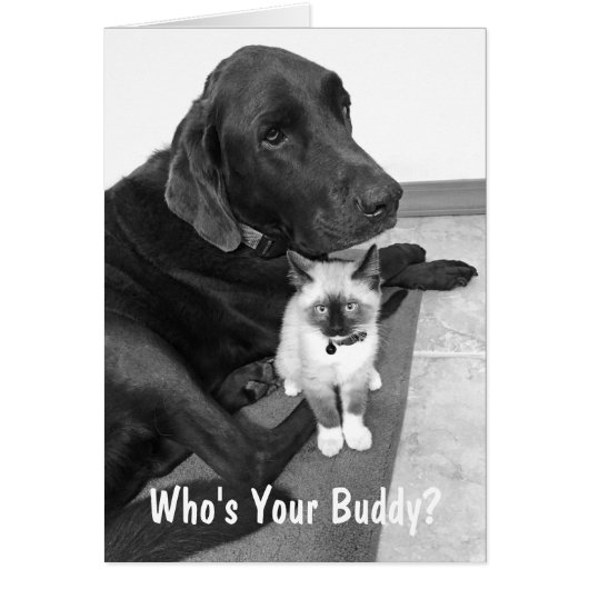 Aardige vrienden Labrador kitten foto op maat (Voorkant)