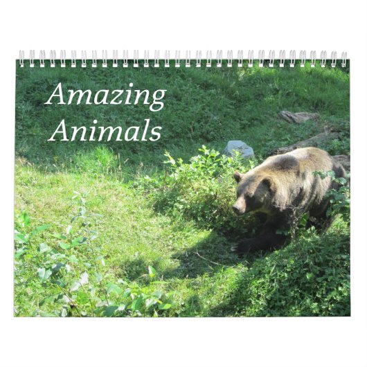 Aardige Wilde Dieren in de Natuur Kalender (Hoes)