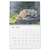 Aardige Wilde Dieren in de Natuur Kalender (Mar 2027)