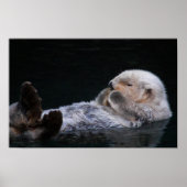 Aardige zeeotter badend Fotografisch Poster (Voorkant)