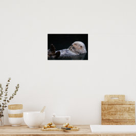 Aardige zeeotter badend Fotografisch Poster