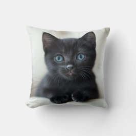 Aardige Zwarte Kitten met Strikende Blauwe Ogen Po Kussen