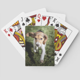 Aardigste baby-dieren   Beagle-puppy Pokerkaarten