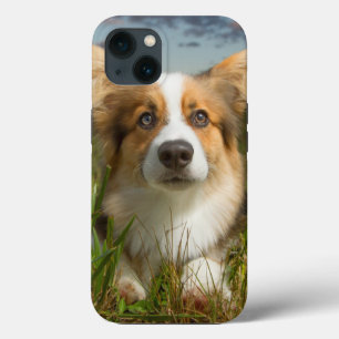 Aardigste baby dieren Corgi in bewolkte tuin Case-Mate iPhone Case