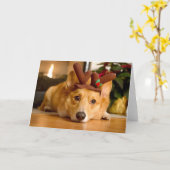 Aardigste baby dieren | Kerst rendieren van Corgi Kaart (Gele Bloem)