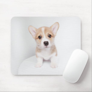 Aardigste baby dieren Kleine Corgi Muismat