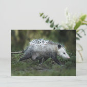 Aardigste baby dieren | Opossum moeder & kinderen Bedankkaart (Staand voorkant)
