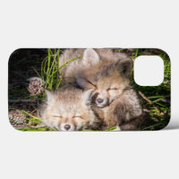 Aardigste baby dieren | Slaande baby rode vosjes