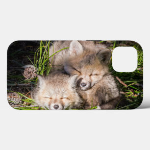 Aardigste baby dieren   Slaande baby rode vosjes Case-Mate iPhone Case