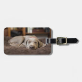 Aardigste baby-dieren | Weimaraner-puppy slaapt Bagagelabel (Voorkant horizontaal)