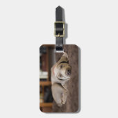 Aardigste baby-dieren | Weimaraner-puppy slaapt Bagagelabel (Voorkant verticaal)