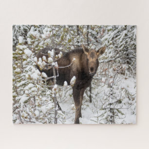 Aardigste Babydieren Elandkalf Legpuzzel