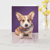 Aardigste babyschattige dieren | Halloween Corgi Kaart (Gele Bloem)