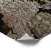 Aardpederboom Poster (Hoek)