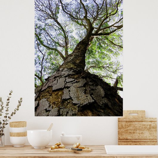 Aardpederboom Poster (Keuken)