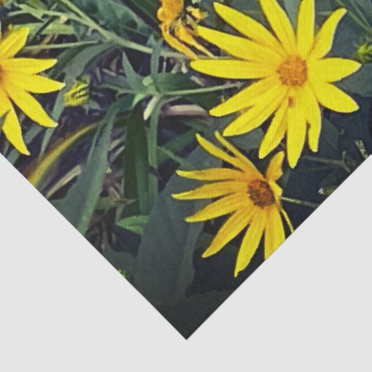 Aardpeer Tissuepapier (Detail)