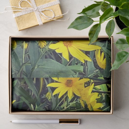 Aardpeer Tissuepapier (Geschenk)