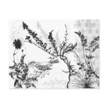 aards B/W-Briefkaart