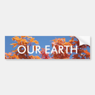 AARDSE bumpersticker Blauwe Lucht Herfst Bomen