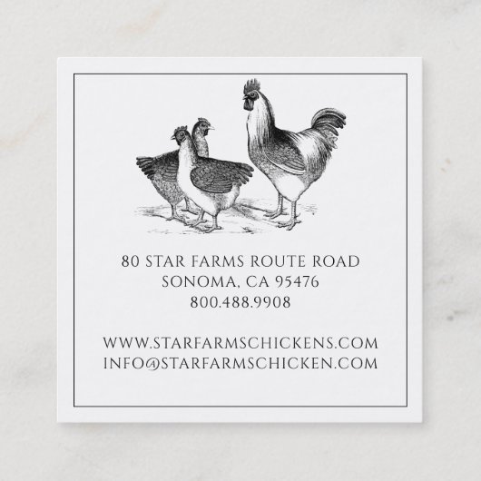Aardse rustieke kip pluimvee Boerderij Vierkante Visitekaartje (Achterkant)