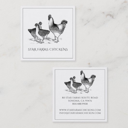 Aardse rustieke kip pluimvee Boerderij Vierkante Visitekaartje (Voorkant / Achterkant)