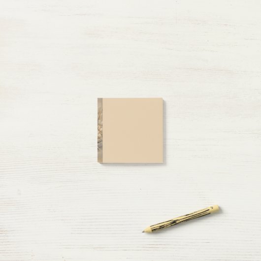 Aardtinten Abstracte Moderne Fractale Kunst Textuu Post-it® Notes (Op bureau)
