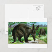 Aardvark Briefkaart (Voorkant / Achterkant)