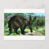 Aardvark Briefkaart (Voorkant)