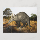 Aardvark Briefkaart (Voorkant)