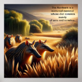 Aardvark Harmony in Natuur Poster (Voorkant)