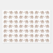 Aardvark inpakpapier vellen (Voorkant 3)